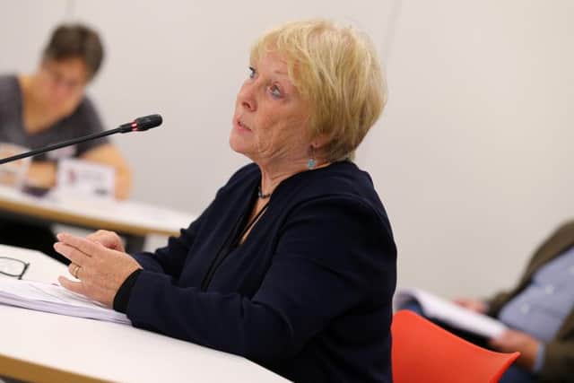 Councillor Danielle Stone has raised concerns about the proposed children's trust