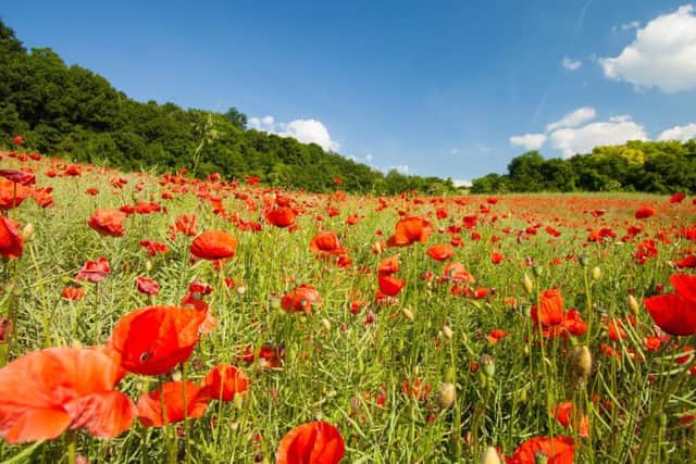 The MoD is trying to trace the family of Private Thomas Parker, who died just weeks before the end of the Great War and whose body was never recovered.