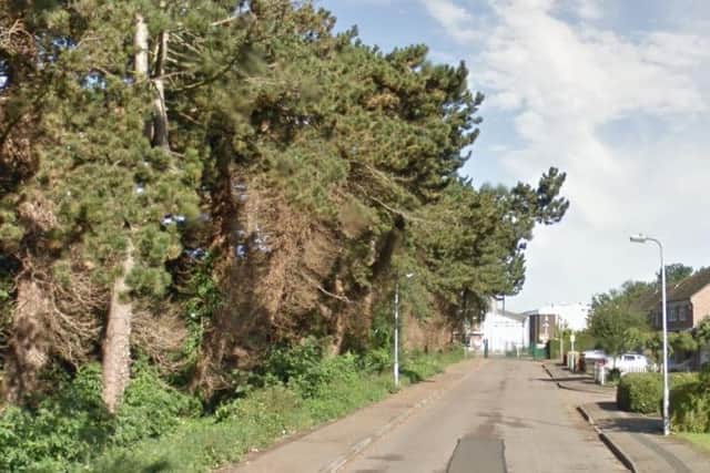 The attack happened in Becket's Way, Northampton.