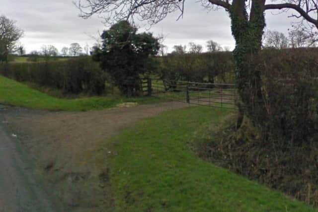 Five pedigree sheep have disappeared from a farm in Holcot.