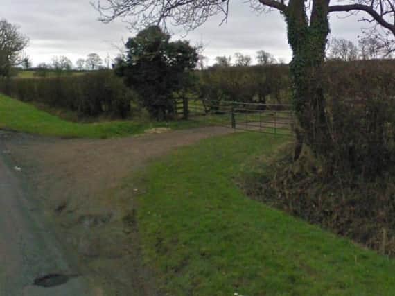 Five pedigree sheep have disappeared from a farm in Holcot.