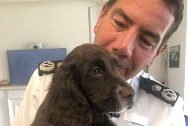 Chief constable Nick Adderley with one of the new recruits 
Image: Northamptonshire Police Dog Section