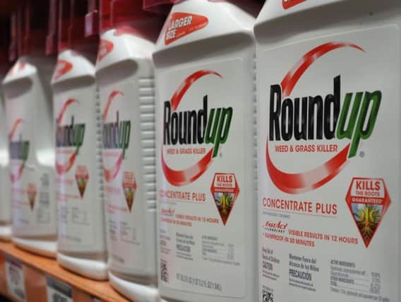 Roundup weedkillers are one of the most popular brands known to use glyphosate. Photo: Getty Images