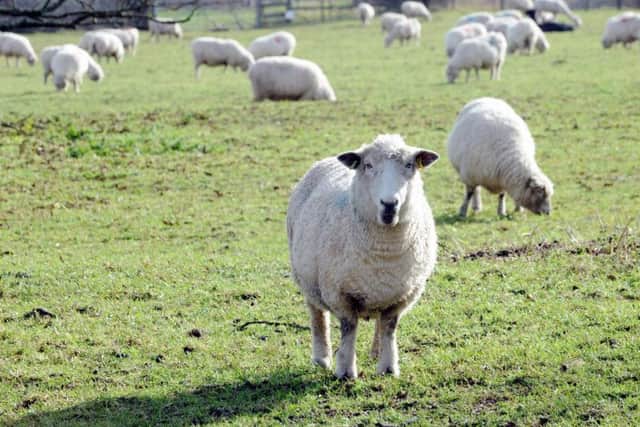 A farmer has been fined for breaking a disease prevention rule.
