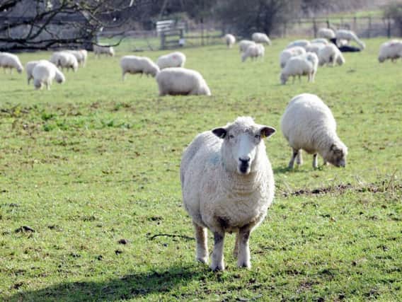 A farmer has been fined for breaking a disease prevention rule.
