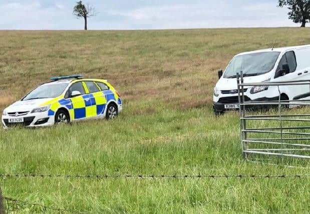 Police have stepped up patrols since the spate of attacks on sheep in Northamptonshire