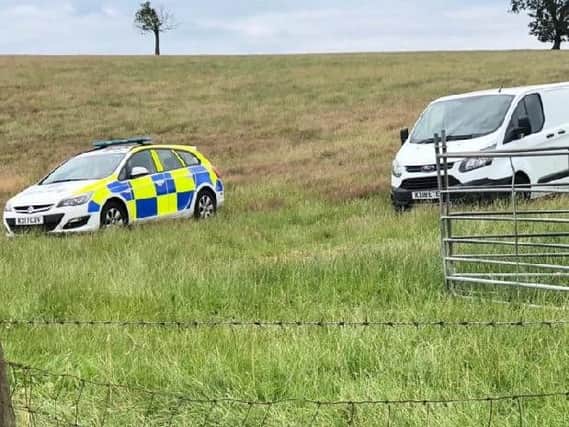 Police have stepped up patrols since the spate of attacks on sheep in Northamptonshire