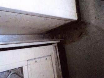 The standard of cleaning throughout the premises was poor.
