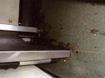 Dirt and food debris was evident at low levels below equipment.