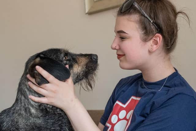 Bernie has lived with the Chamberlain family in Abington for one month and is settling into a different lifestyle.