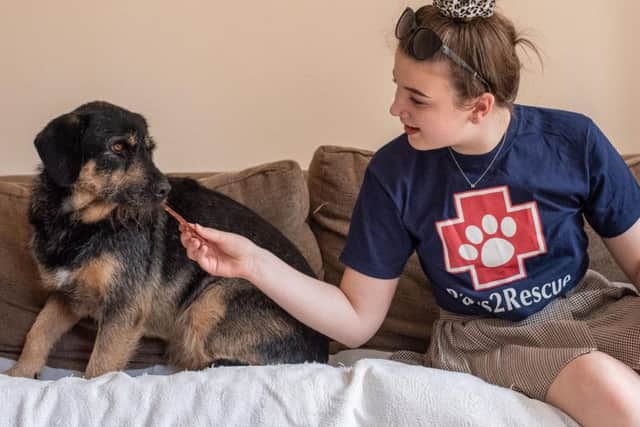 Aimee is heading to Romania on Sunday after being inspired to help the countries dogs after adopting cross-breed Bernie.