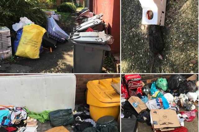 A pile of rubbish in Lower Adelaide Street (top left), a rat caught in a trap nearby (top right) and more fly-tipping in Semilong. Photos: Marcus Middleton