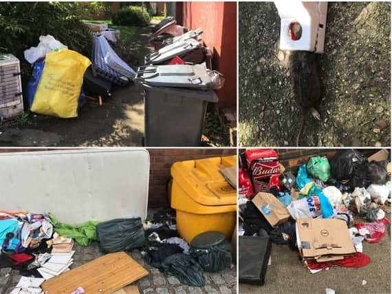 Fly-tipping in Northampton. Photos by Marcus Middleton