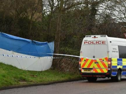 Witnesses saw three men surround Adeyemi's green Nissan Micra before one of them stabbed him a "foot-long knife".