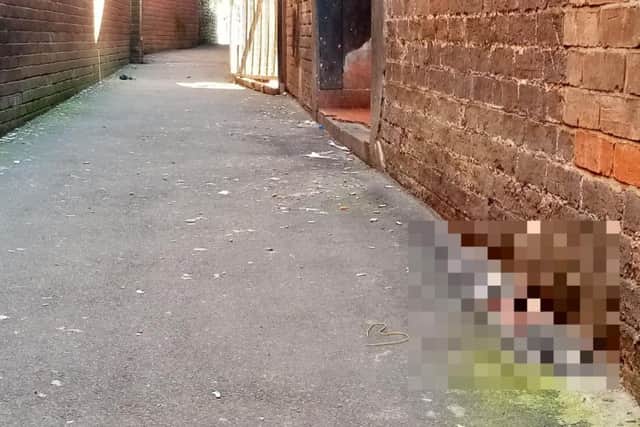 Readers have described the alleyway as "foul", "disgusting" and "rough".