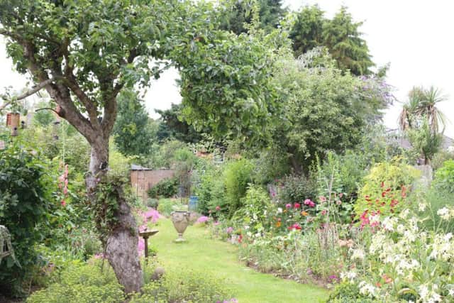 Best garden winner, by Cynthia Hawes. Photo: NPH