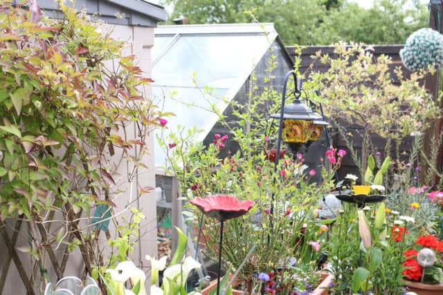 Best potted garden winner by Rose Mullings. Photo: NPH