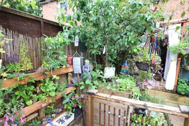 Most environmentally friendly garden winner, by Sally Harris. Photo: NPH