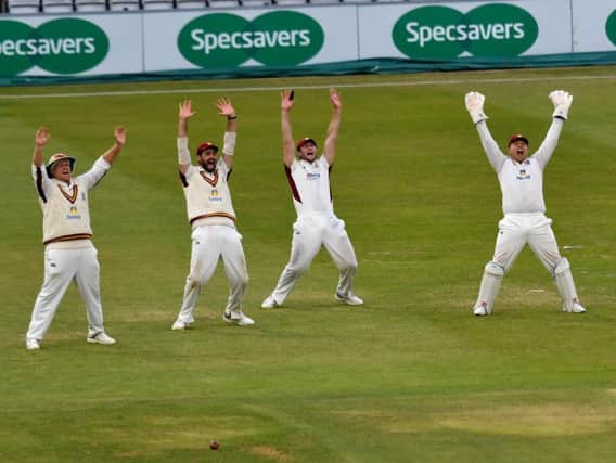Northants beat Durham at the County Ground (pictures: Dave Ikin)