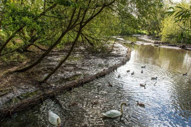 Billing Brook is a tributary of the River Nene, which passes through the east of Northampton. Picture credit: Louise Smith.
