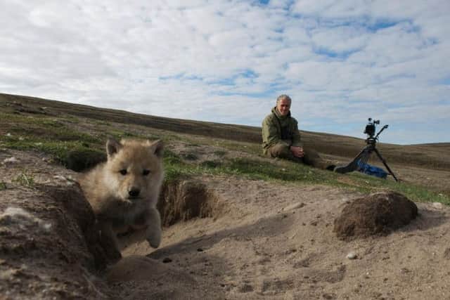 The highly acclaimedtelevision wildlife cameraman will share an insight into his 25-year career filming some of the worlds most fearsome and majestic animals.
