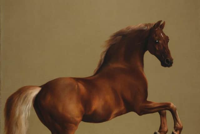 The famous Whistlejacket by George Stubbs