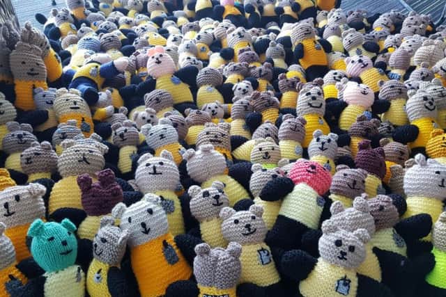 More of the Bobby Buddies knitted bears. Photo: Northamptonshire Police