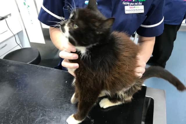 Beauty will now be rehomed