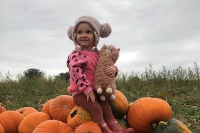 Adrian's granddaughter Bunny has been helping out in the pumpkin field
