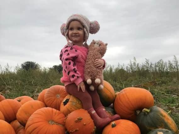 Adrian's granddaughter Bunny has been helping out in the pumpkin field