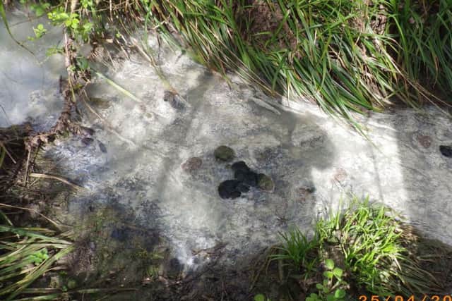 Park rangers found thick grey sludge forming on top of the water.