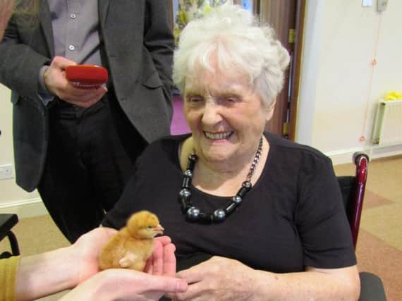 Joan pictured holding a chick during the 'Book End Project', held at the home, a project which saw children from Bridgewater Primary School join in with some of the residents to unite old and young.