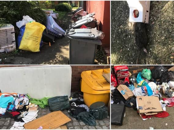 Previous fly-tipping incidents around Northampton