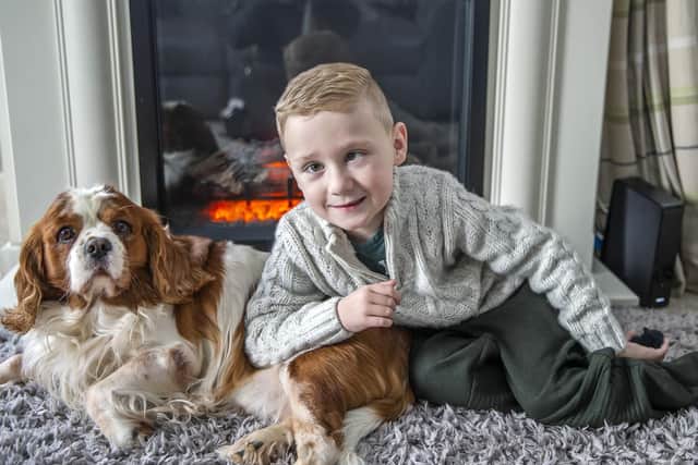 Little Harry pictured after his operation at home with his dog, Jasper.