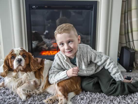 Little Harry pictured after his operation at home with his dog, Jasper.