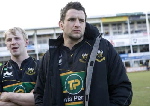 DETERMINED - Phil Dowson (picture by Linda Dawson)