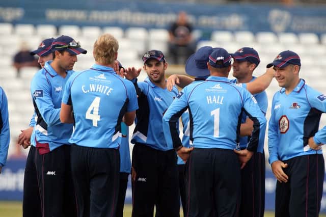 The Steelbacks celebrate the fall of a Holland wicket during their four-wicket victory