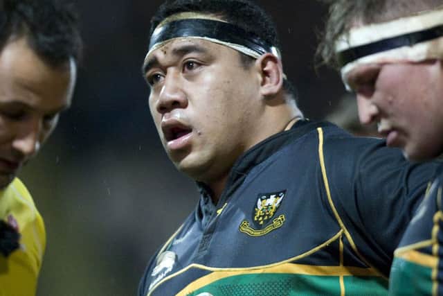 MORE OF THE SAME PLEASE - Salesi Ma'afu (Picture: Linda Dawson)