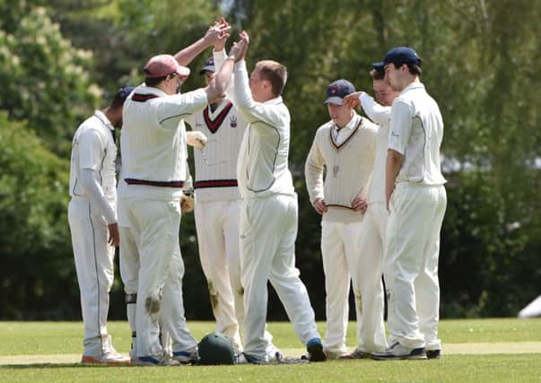 HIGH FIVES - Horton House celebrate claiming a wicket in their win over Wollaston (Picture: Dave Ikin)