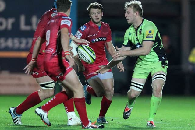 Ben Nutley's energy and enthusiasm caught the eye at Scarlets (picture: Sharon Lucey)