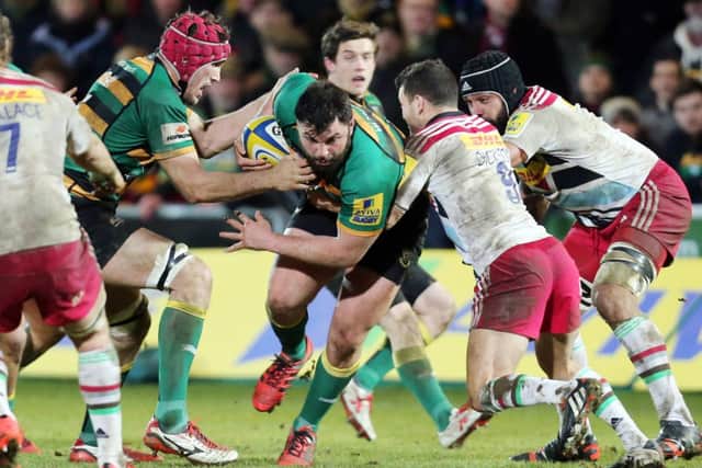 Alex Corbisiero charges forward during Saints' Aviva Premiership clash against Harlequins at Franklin's Gardens (pictures: Kirsty Edmonds)