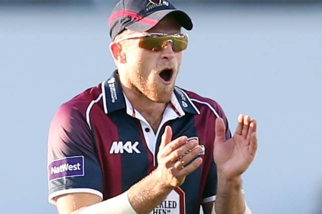 ENGLAND CALL - David Willey