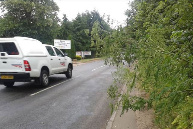 Brampton Lane