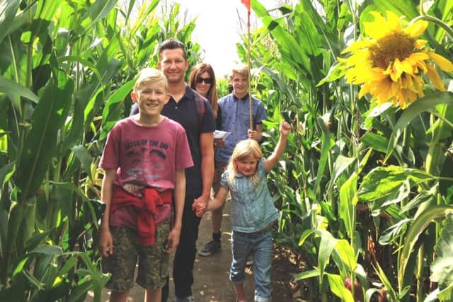 A family enjoying Wistow Maze