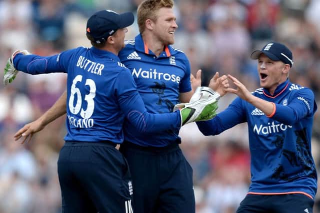 David Willey celebrates taking a wicket during the ODI series win over New Zealand earlier this year