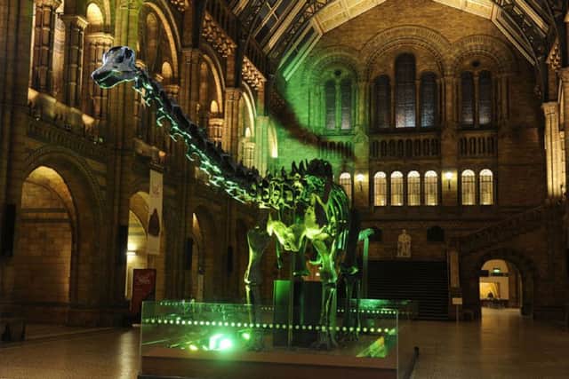A venue near you could host Dippy should they have a big enough room