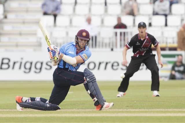 David Willey
