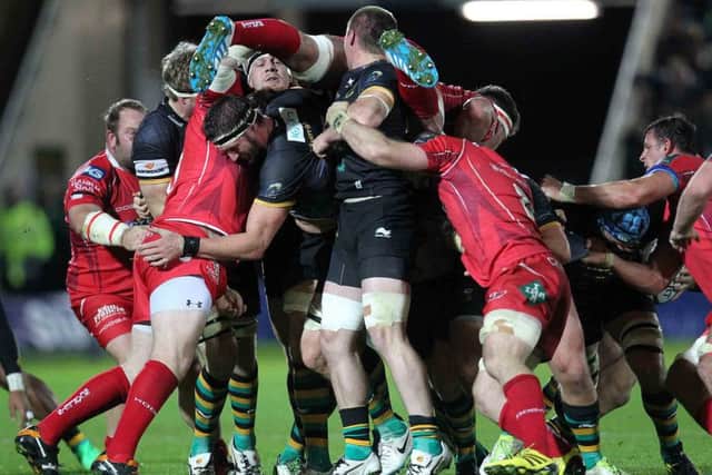 Saints scapped to victory against Scarlets (picture: Sharon Lucey)