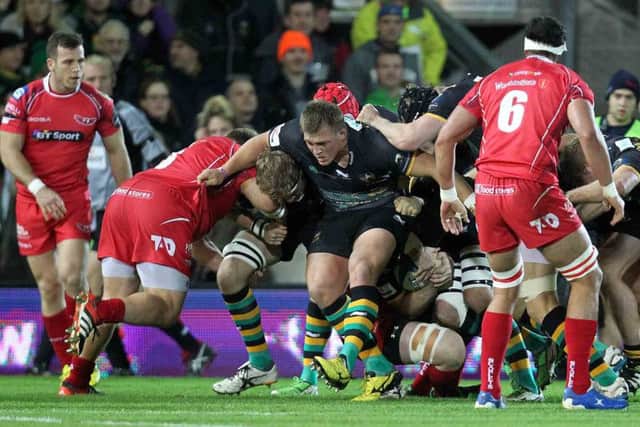 Alex Waller was impressive in Saints' huge forward effort against Scarlets (picture: Sharon Lucey)