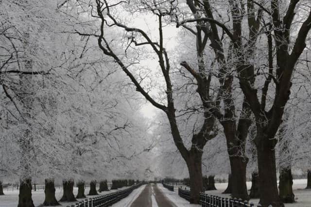Delapre Park. By Minnie Teckman NNL-151112-152956001
